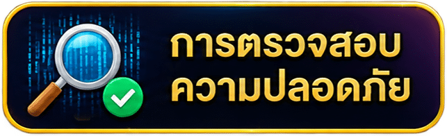 การตรวจสอบความปลอดภัย